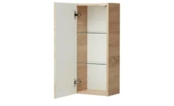 Bad-Wandschrank Jennersdorf