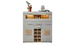 Barschrank Fun Plus