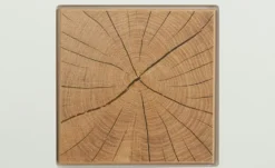 Barschrank Fun Plus