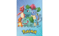 Bettwäsche-Set Pokémon
