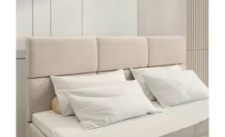 Boxbett Boston