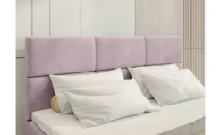 Boxbett Boston