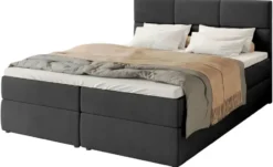 Boxbett Boston