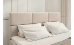 Boxbett Boston