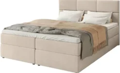 Boxbett Boston