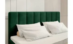 Boxbett Denver