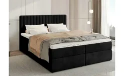 Boxbett Dream
