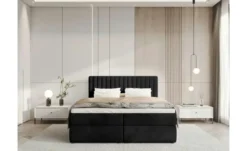 Boxbett Dream