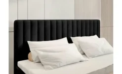 Boxbett Dream