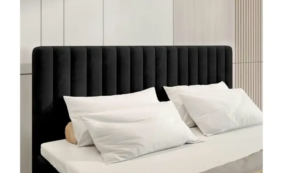 Boxbett Dream
