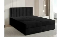Boxbett Dream