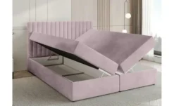 Boxbett Dream