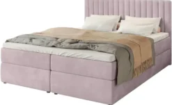Boxbett Dream