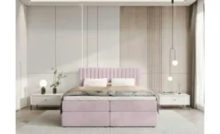 Boxbett Dream