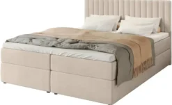 Boxbett Dream