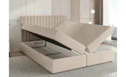 Boxbett Dream