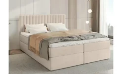 Boxbett Dream