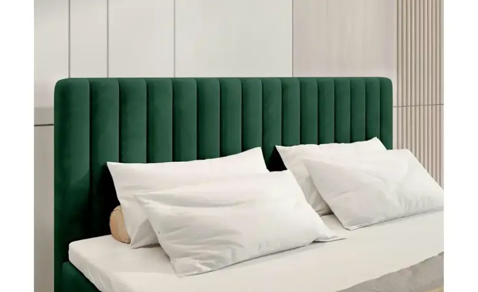 Boxbett Dream