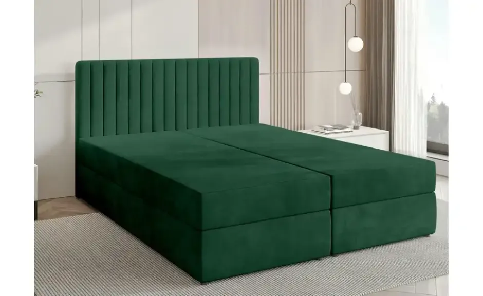 Boxbett Dream