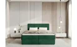 Boxbett Dream
