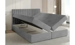 Boxbett Dream