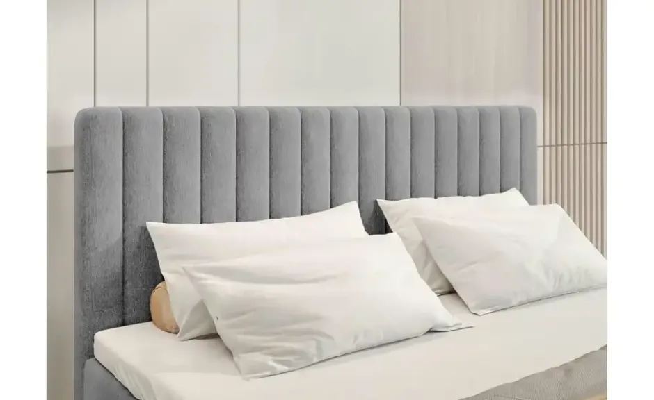 Boxbett Dream