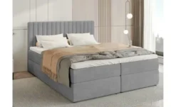 Boxbett Dream