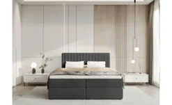 Boxbett Dream