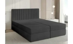 Boxbett Dream
