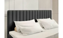 Boxbett Dream