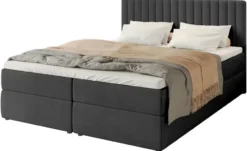 Boxbett Dream
