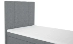 Boxbett Duke