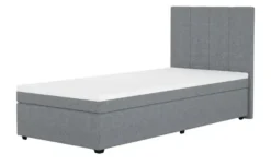 Boxbett Duke