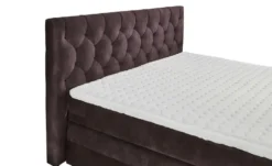 Boxspringbett Cashfield