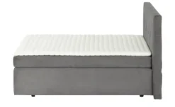 Boxspringbett Jasmin