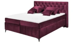 Boxspringbett Pembroke