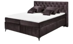 Boxspringbett Pembroke