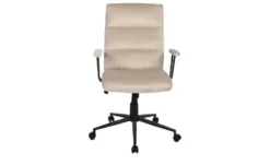Büro-Drehstuhl Fly