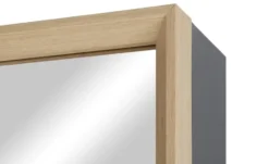 Drehspiegelschrank Steyr