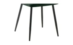 Esszimmerstuhl 2er-Set Tilde
