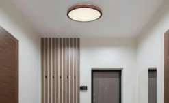 Globo Lighting Deckenleuchte