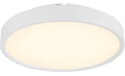 Globo Lighting Deckenleuchte