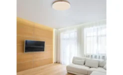 Globo Lighting Deckenleuchte