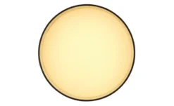 Globo Lighting Deckenleuchte