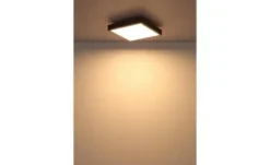 Globo Lighting Deckenleuchte