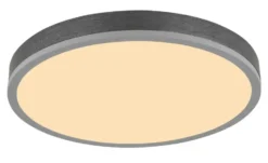 Globo Lighting Deckenleuchte