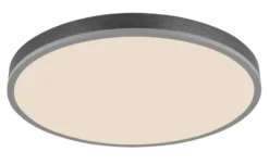 Globo Lighting Deckenleuchte
