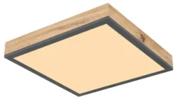 Globo Lighting Deckenleuchte