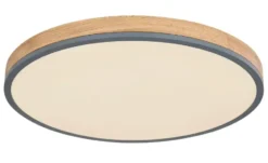 Globo Lighting Deckenleuchte