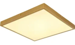 Globo Lighting Deckenleuchte